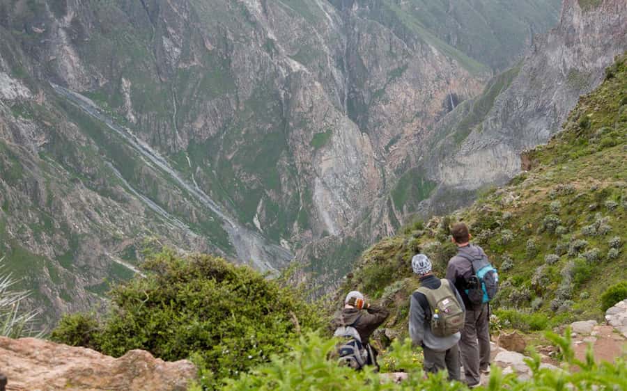 From Arequipa: 2-Day Colca Canyon Trekking Tour - Why this Colca Canyon trek demands a very early start