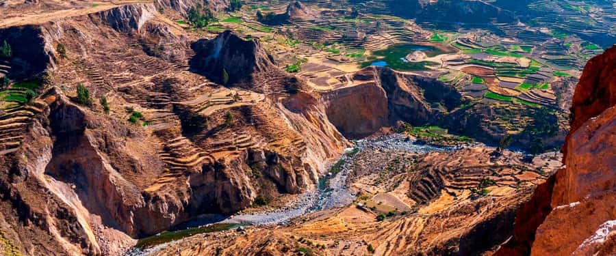 From Arequipa: 2-Day Colca Canyon Trekking Tour - The San Juan Valley descent: guided plants and a real day of hiking