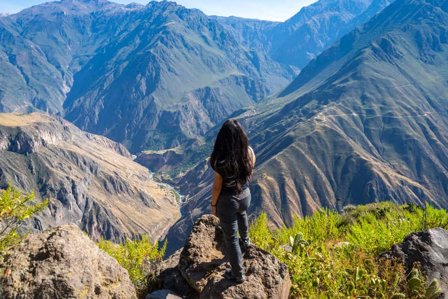 From Arequipa: 2-Day Colca Canyon Trekking Tour - Hot springs, terraces, volcano views, and the camelid salt-flat detour