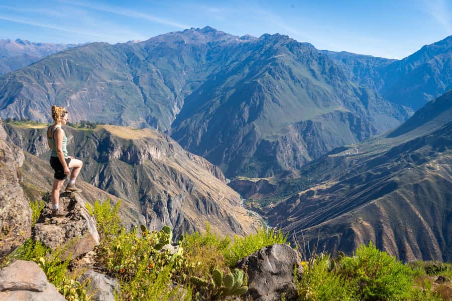 From Arequipa: 2-Day Colca Canyon Trekking Tour - Guide-led small-group pacing, plus the names I’ve seen