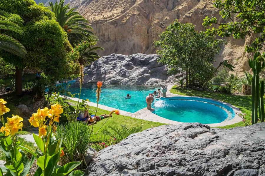 From Arequipa: 2-Day Colca Canyon Trekking Tour - Cruz del Cóndor: condors, viewpoints, and the sunrise bus ride