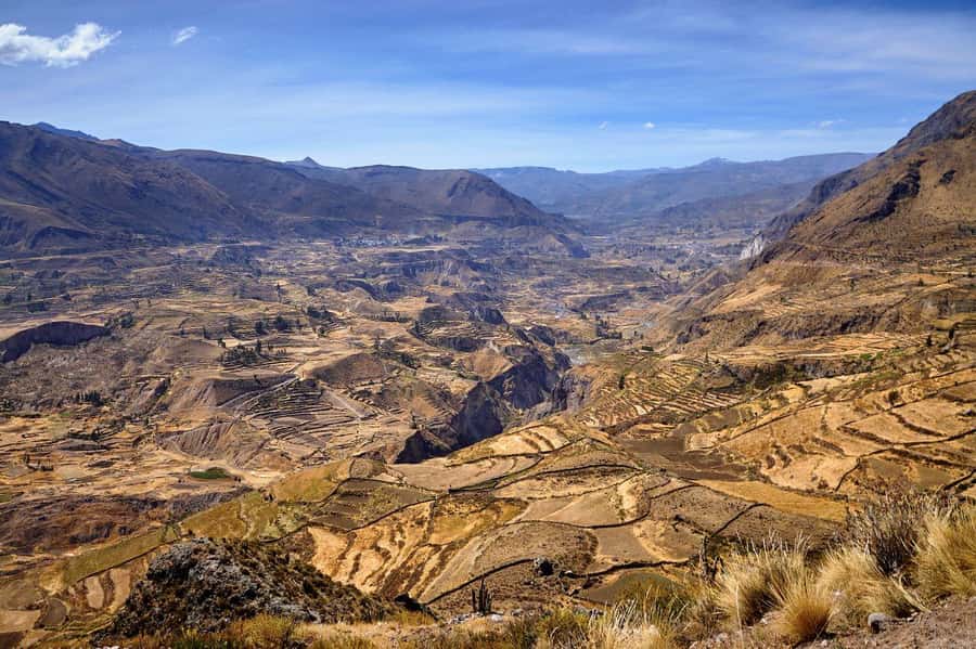 From Arequipa: Colca Canyon and Condor Watching Day Trip - Key things to know before you go