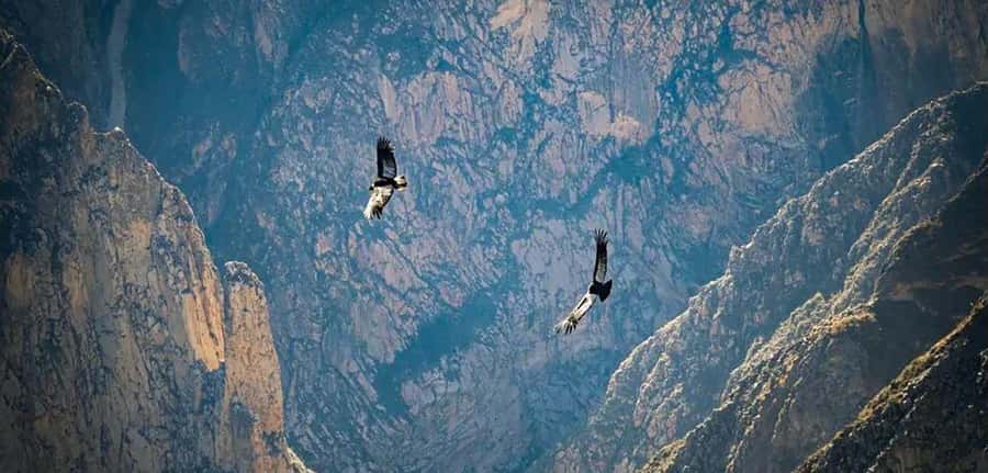 From Arequipa: Colca Canyon and Condor Watching Day Trip - Entering the Colca Valley from Arequipa, the practical version