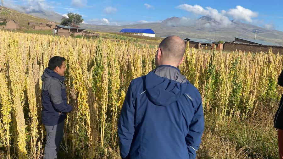From Arequipa: Colca Canyon Day Trip with Transfer to Puno - Chivay: breakfast, culture moments, and the rhythm of small stops