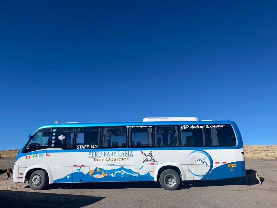 From Arequipa: Colca Canyon Day Trip with Transfer to Puno - Hot springs at Chacapi and a real chance to recover