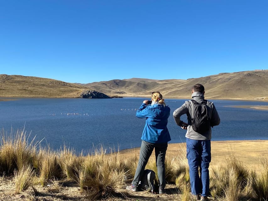 From Arequipa: Colca Canyon Day Trip with Transfer to Puno - Salinas and Aguada Blanca reserve, plus Alto Lagunillas