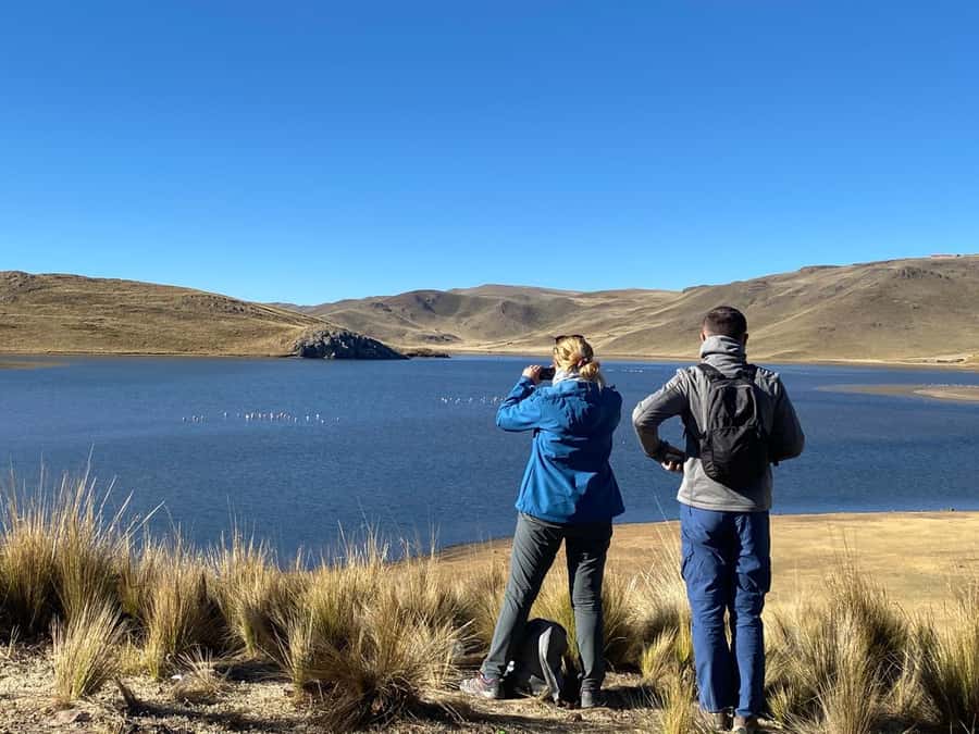 From Arequipa: Colca Canyon Day Trip with Transfer to Puno - The transfer to Puno, ending around 7 pm