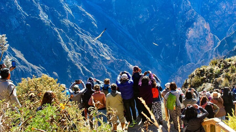 From Arequipa: Colca Canyon Day Trip with Transfer to Puno - Price and value: what $65 covers and what costs extra