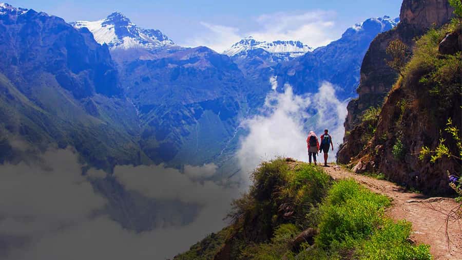 From Arequipa: Colca Canyon Day Trip with Transfer to Puno - Breakfast, sunrise views, and the road into Colca country