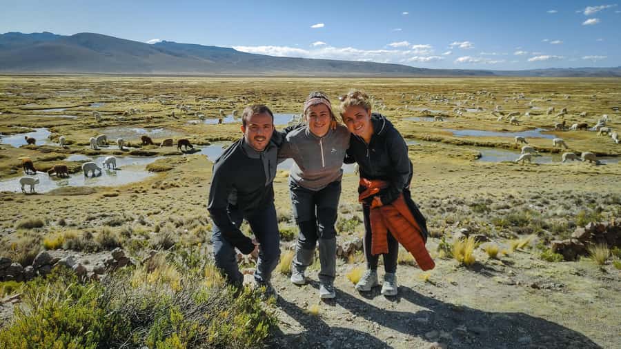 From Arequipa: Colca Canyon Full-Day Guided Tour with Meals - Key things I’d zero in on