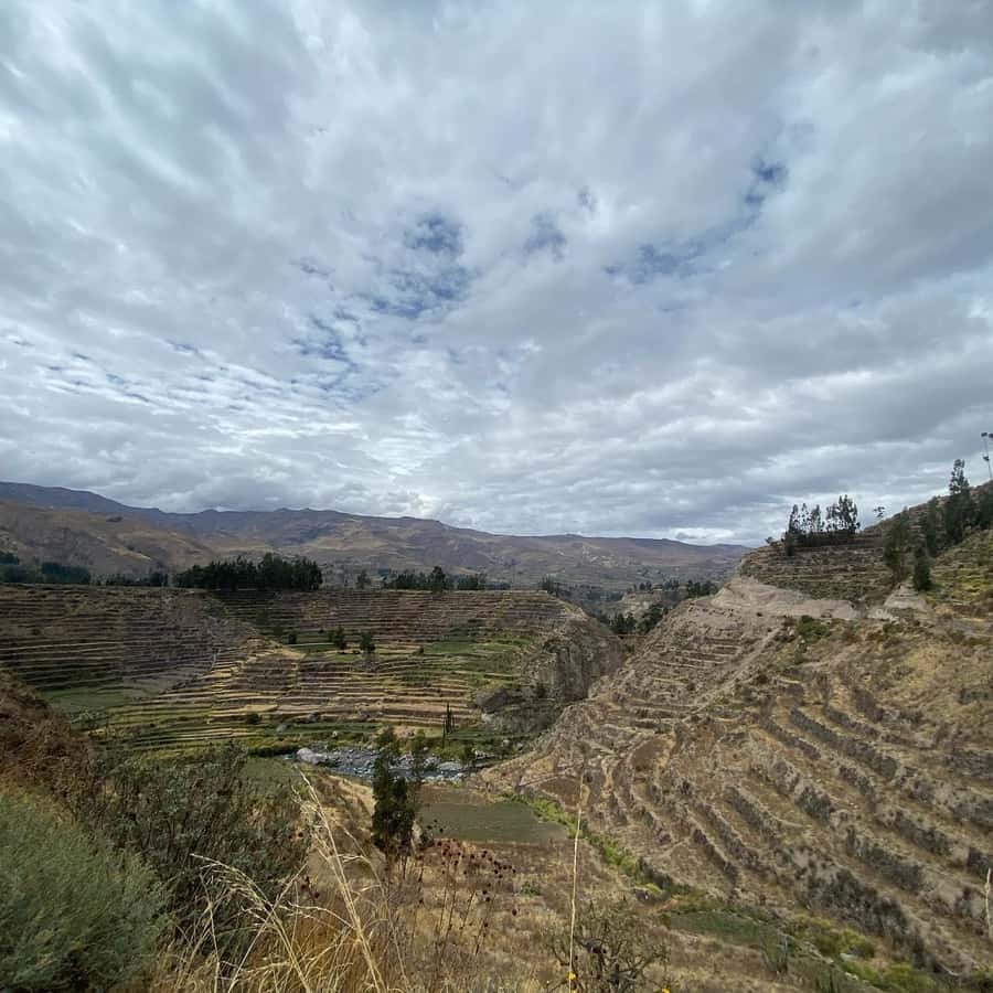 From Arequipa: Colca Canyon & La Calera Thermal Waters - What to Pack for This High-Altitude, Water-Friendly Day