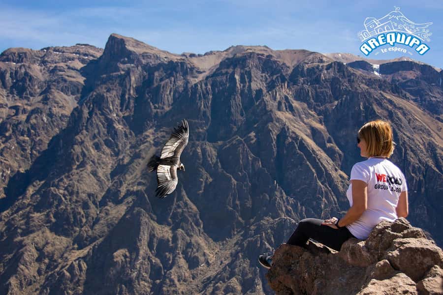 From Arequipa: Colca Valley & Thermal Baths Small-Group Trip - Why the Colca Valley day trip from Arequipa is worth your one day