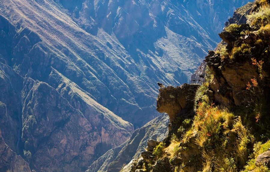 From Arequipa: Colca Valley & Thermal Baths Small-Group Trip - Chacapi Thermal Baths in Yanque at 38°C, plus lunch in Chivay