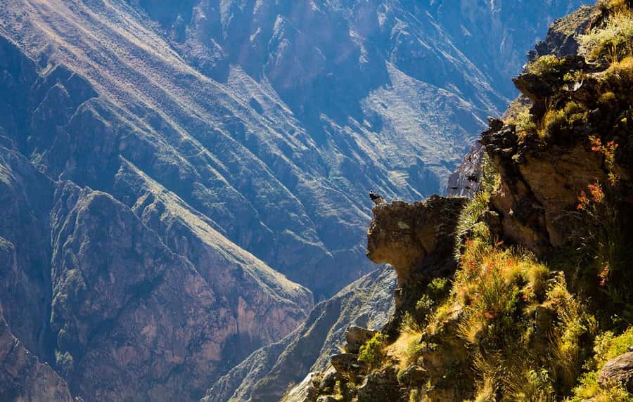 From Arequipa: Colca Valley & Thermal Baths Small-Group Trip - The 3:00 am pickup, cold mornings, and how to survive the drive
