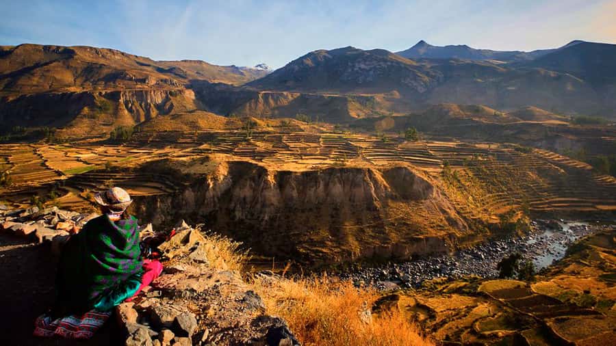 From Arequipa: Full Day Colca Canyon Tour - Key highlights at a glance