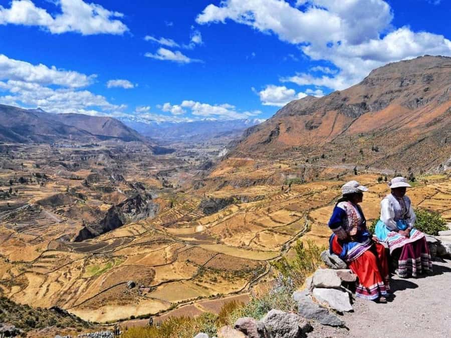 From Arequipa: Full Day Tour of Colca Canyon with Meals - Volcanic altitude viewpoint near 4,910 m, then wildlife stops