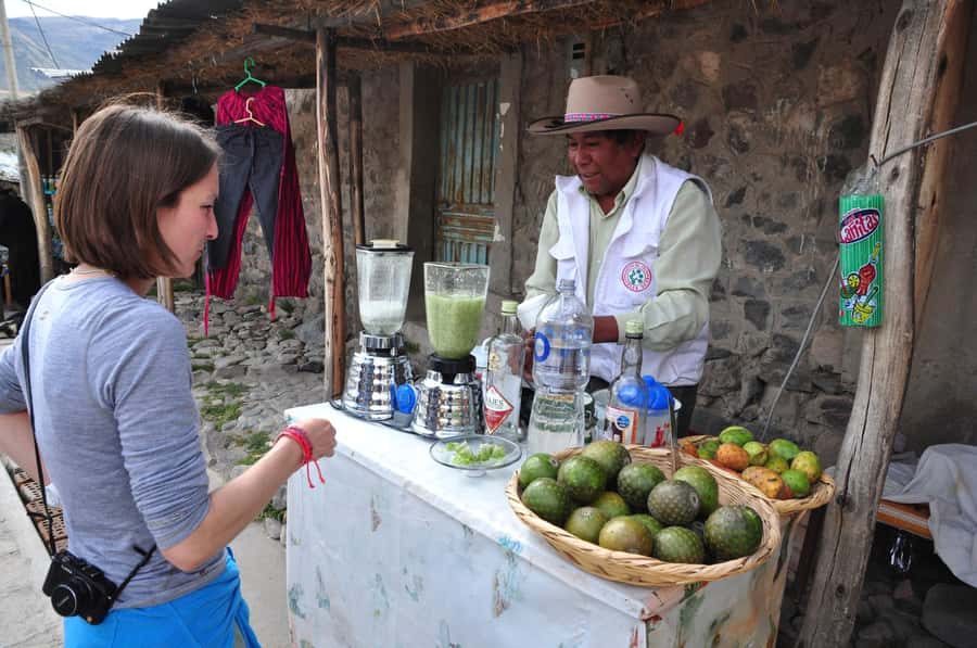From Arequipa: Fullday Tour Colca Canyon + Transfer To Puno - From Arequipa pickup at 2:30 AM to the Condor Viewpoint