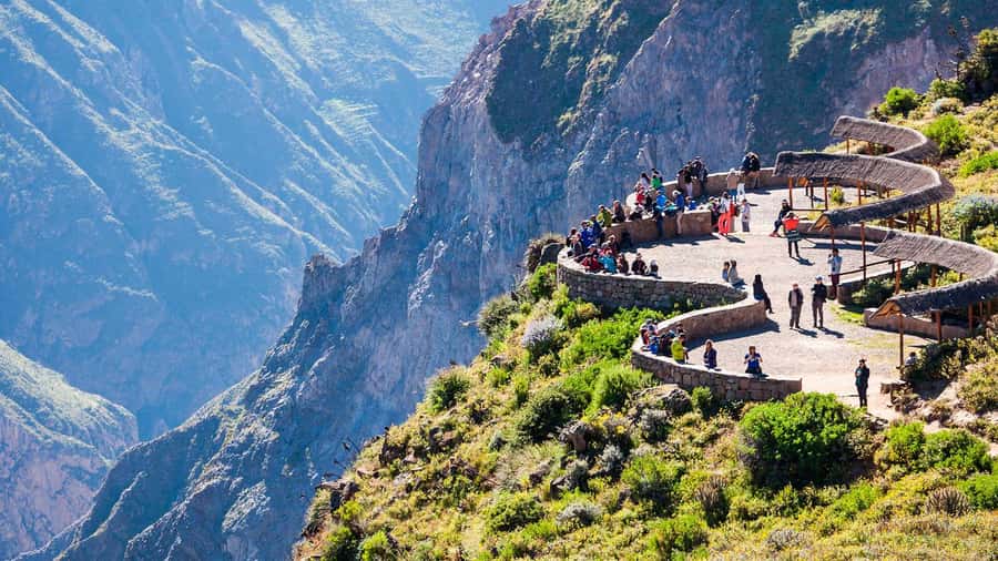 From Arequipa: One Day Trip to Colca Canyon Ending in Puno - Key highlights that matter in real life