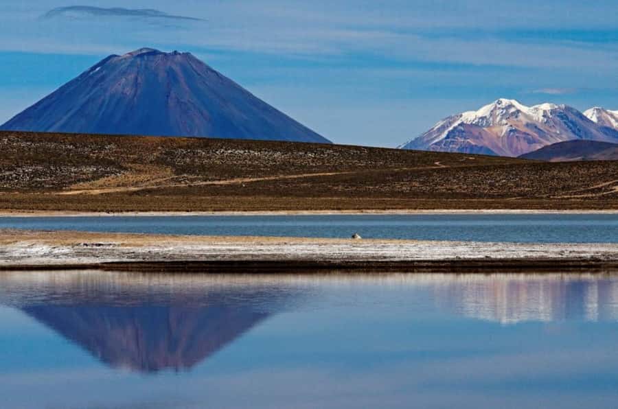 From Arequipa: Salinas Lagoon Full-Day Trip with Hot Springs - Pickup, the Early Drive, and the Mirador de los Volcanes Start