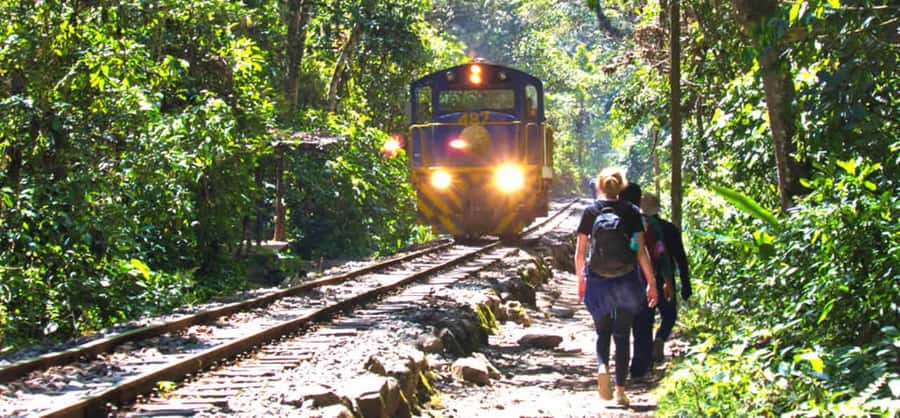 From Cusco: 2-Day Inca Trail to Machu Picchu - The return hike and lunch back in Aguas Calientes