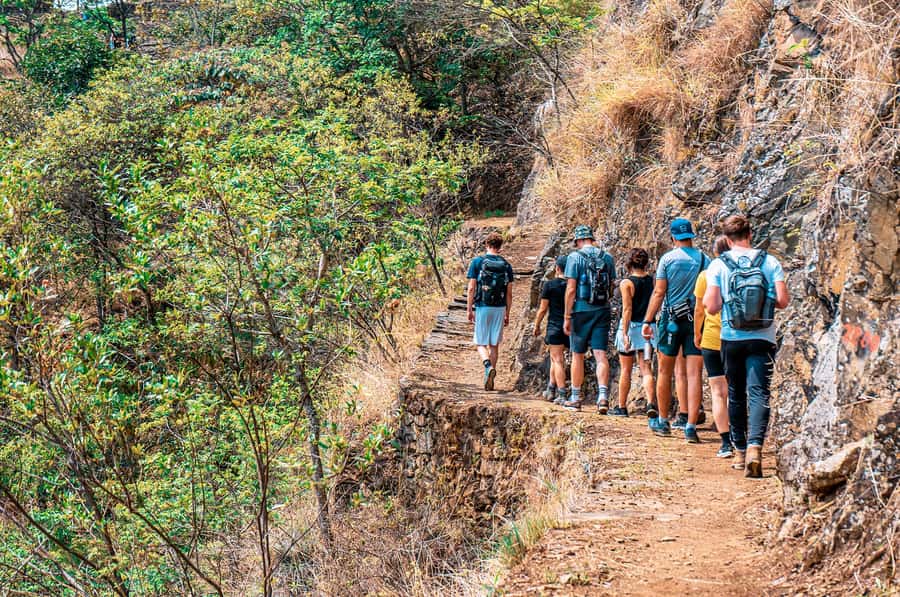 From Cusco: 4-Day Inca Jungle Adventure to Machu Picchu - Santa Teresa to Aguas Calientes: zipline option and the train-track trek