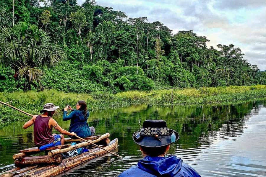 From Cusco: 4-Day Manu National Park Guided Tour - Lodging in Pilcopata and Manu: basic comfort, jungle reality