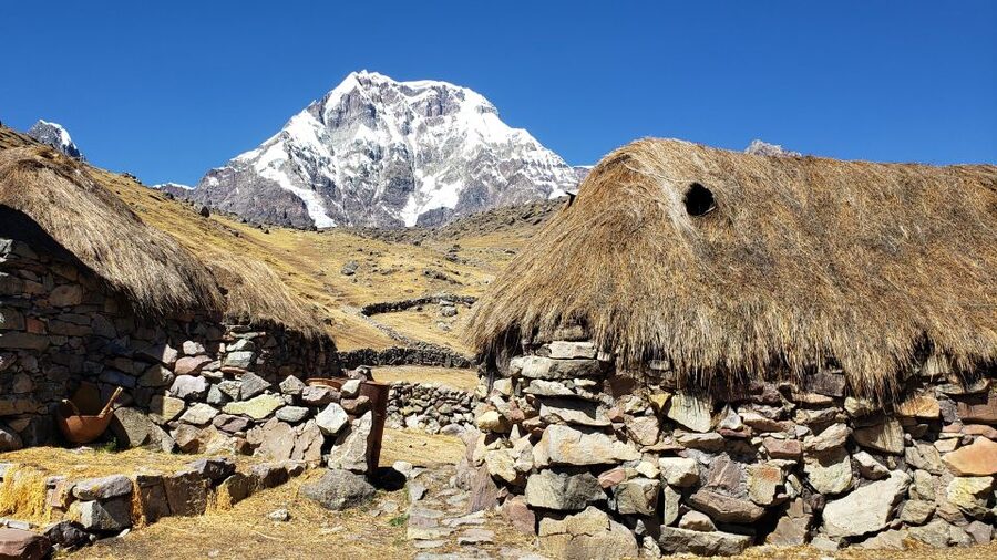From Cusco: 7 Lakes of Ausangate Full Day Tour - Sharing the trail with llamas and alpacas