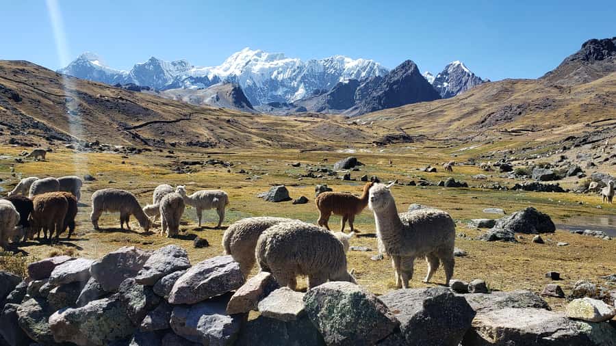 From Cusco: 7 Lakes of Ausangate Full Day Tour - Pacchanta hot springs, your sore-feet payoff