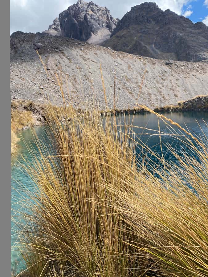 From Cusco: 7 lakes with hot springs in Ausangate and meals - Price and value: what $38 gets you, plus the entrance fees