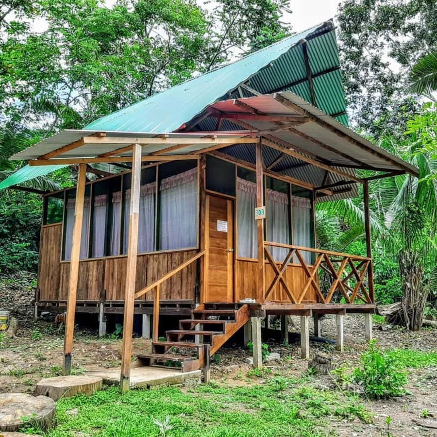 From Cusco: Amazon jungle for two days with sleeper bus and private lodge - River Sunset Cruise: Why It’s Worth the Time