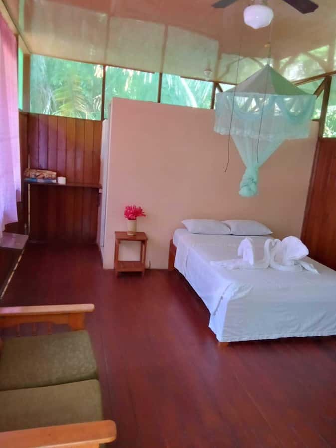 From Cusco: Amazon jungle for two days with sleeper bus and private lodge - Sandoval Lake Paddling: Canoe Time for Otters and Piranhas