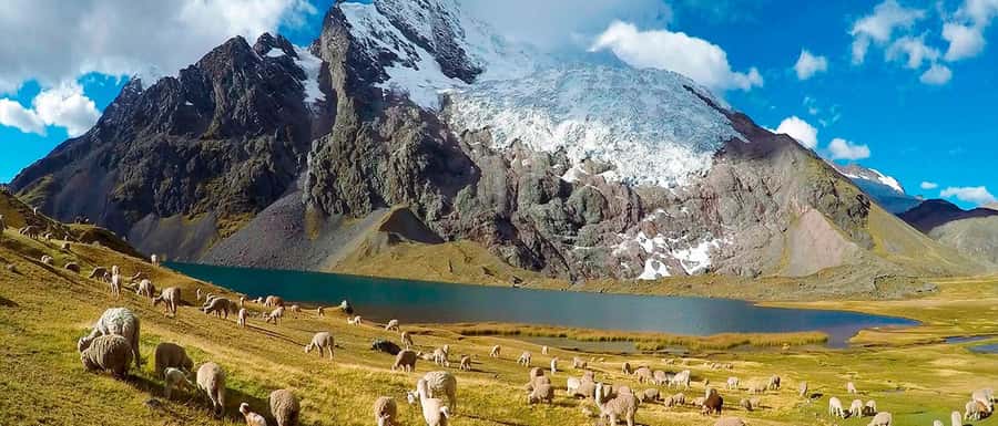 From Cusco: Ausangate Route - 7 Lagoons Tour + Meals - Price and Logistics: Is $28 Actually Good Value?