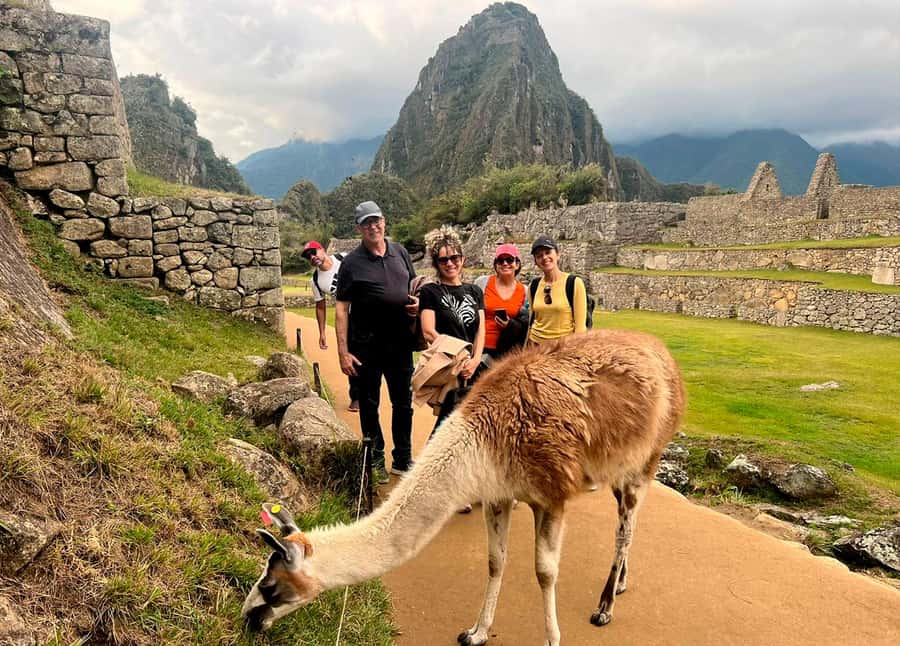 From Cusco: Full-Day Group Tour of Machu Picchu - Back to Cusco by train and bus, tired but satisfied