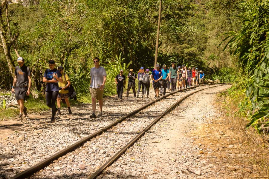 From Cusco: Full-Day Round-Trip Train Tour to Machu Picchu - The Sacred Valley train ride you actually remember
