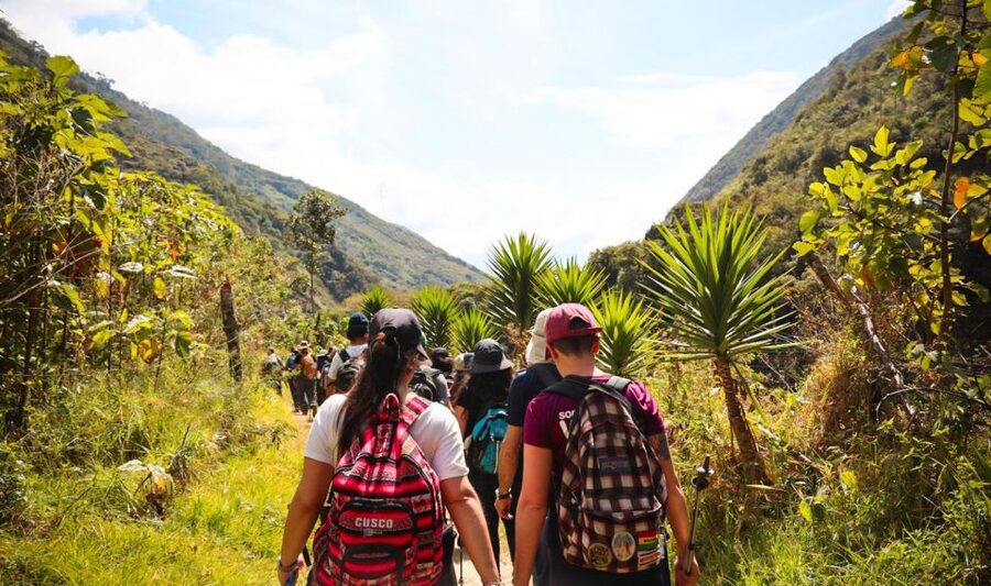 From Cusco: Full-Day Round-Trip Train Tour to Machu Picchu - Getting the most out of the guided schedule