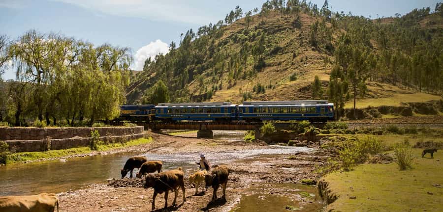 From Cusco: Machu Picchu Full-Day Guided Tour - What This Tour Really Gives You: Tickets, Timing, and a Live Guide