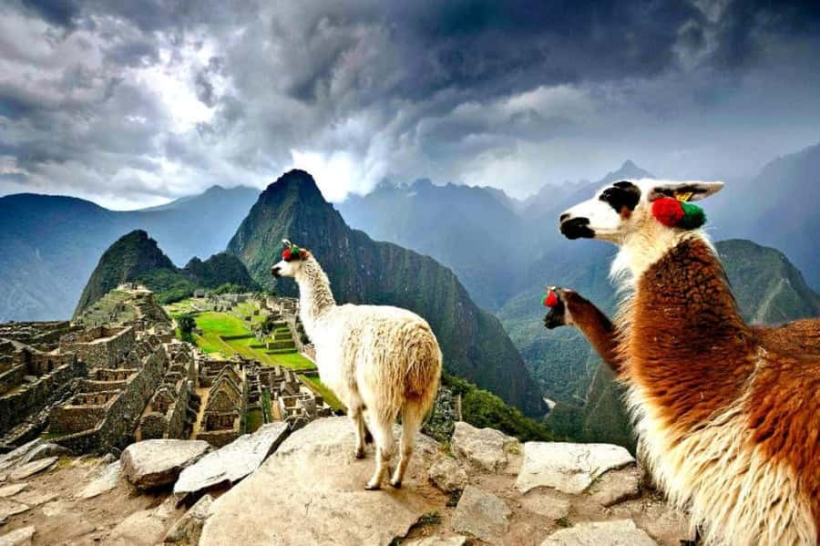 From Cusco:MachuPicchu Excursion 1 day plus Ticket and Train - Ollantaytambo to Aguas Calientes by train: comfort and mountain time