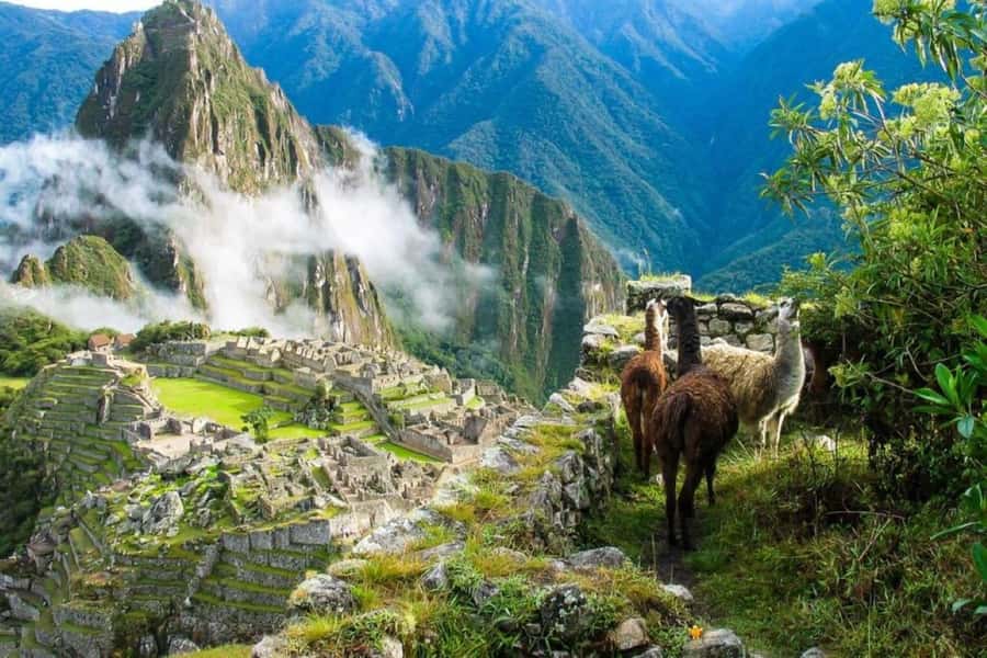 From Cusco:MachuPicchu Excursion 1 day plus Ticket and Train - Aguas Calientes bus ride to the entrance: getting positioned fast