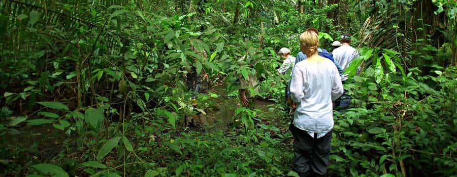 From Cusco: Manu National Park 3 Day Tour - Key things I’d highlight before you go