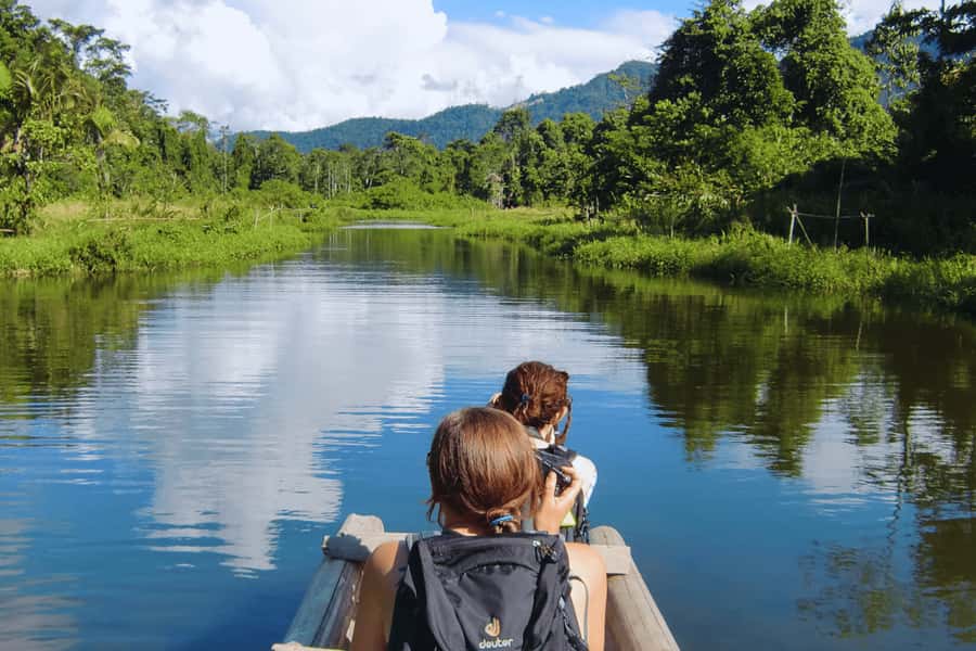 From Cusco: Manu National Park 3 Day Tour - Day 2: Early forest time, coca fields, kayaking, and the swamp hunt