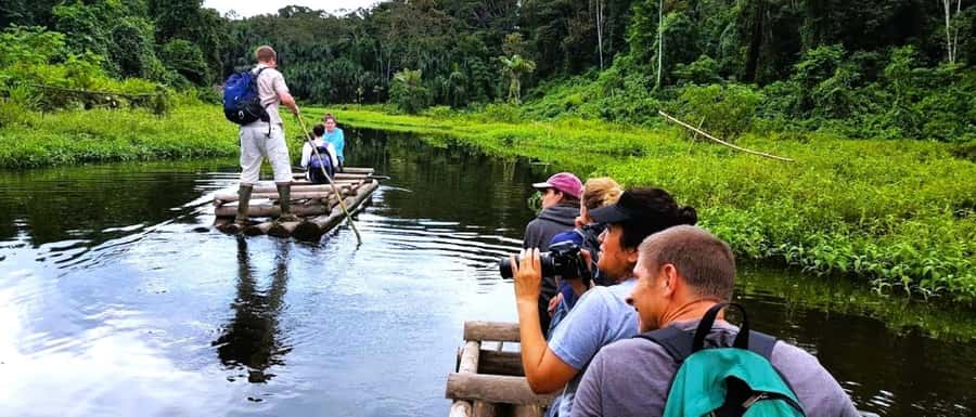 From Cusco: Manu National Park Tour & Accommodation 3 Days - Key takeaways before you go