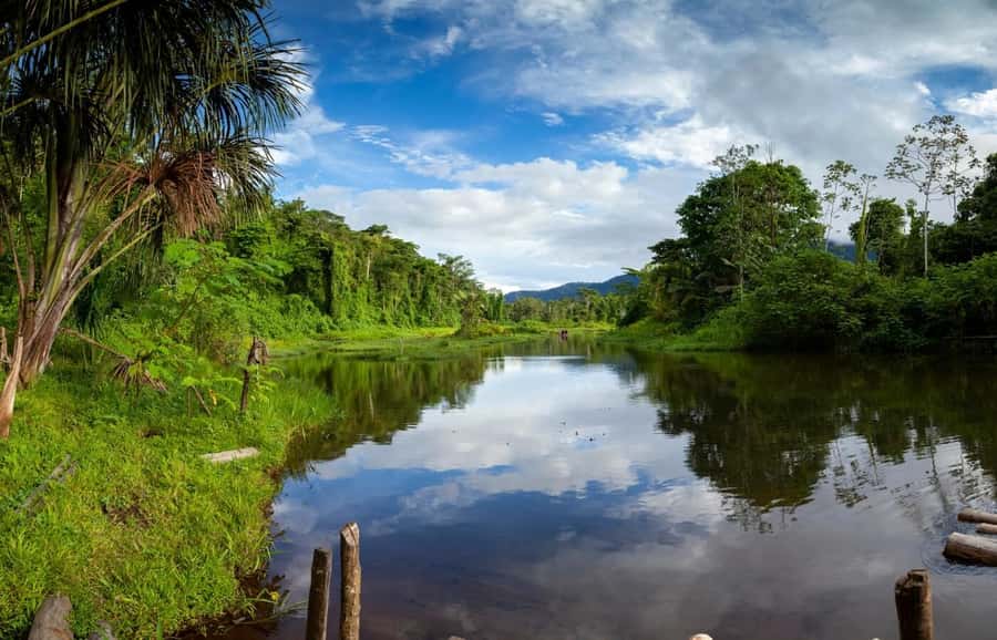 From Cusco: Manu National Park Tour & Accommodation 3 Days - Food and comfort at the Basic Hostel: plan for basic, not luxury