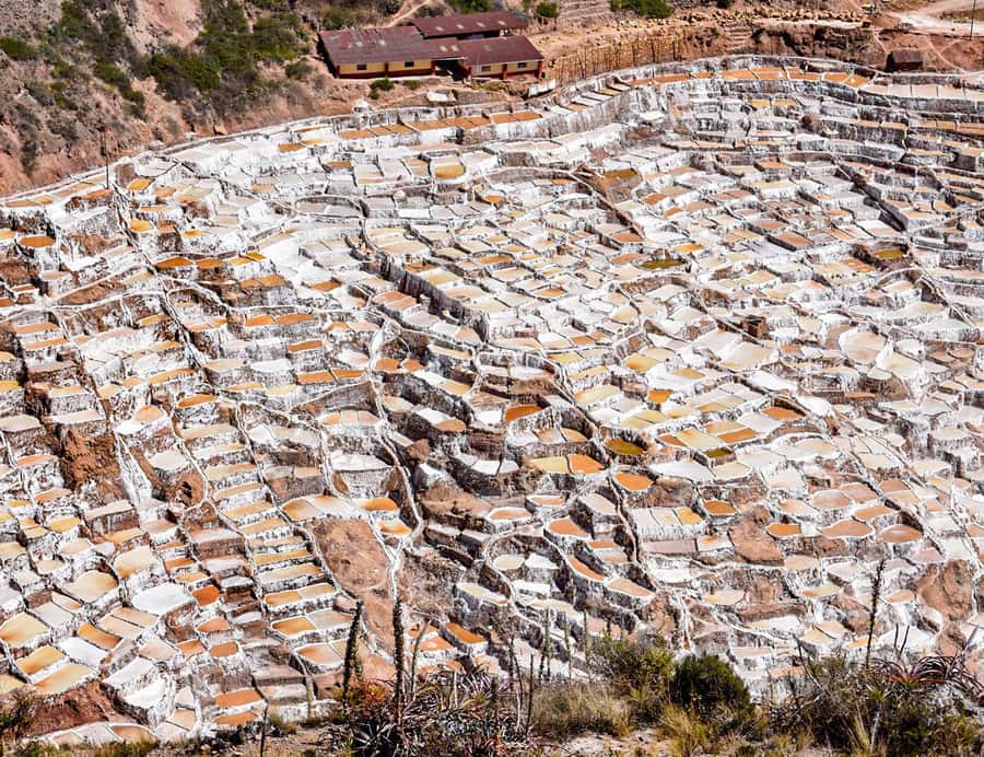 From Cusco: Moray, Maras Salt Mines & Chinchero Weavers Tour - Price and Value: Why This Tour Can Be Such a Deal