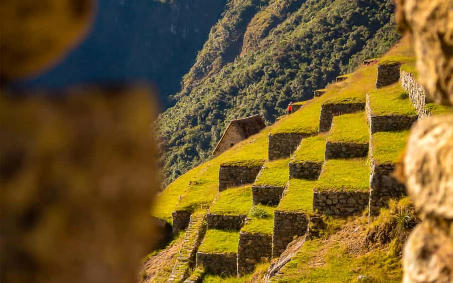 From Cusco: One-Day Round Trip to Machu Picchu by Train - Weather, packing, and altitude practicals that actually help