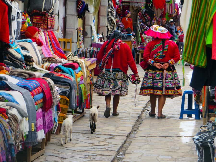 From Cusco: Private Pisac Ruins and Alpaca Farm Day Trip - Price and Logistics: Is $88 Good Value?
