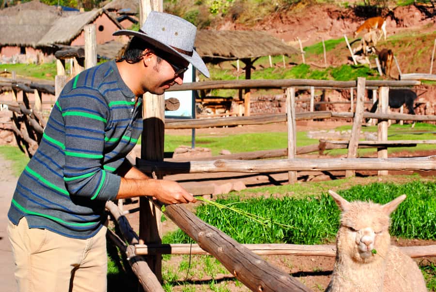 From Cusco: Private Pisac Ruins and Alpaca Farm Day Trip - Manos de la Comunidad Stop: Alpaca Farm Energy in 23 Minutes