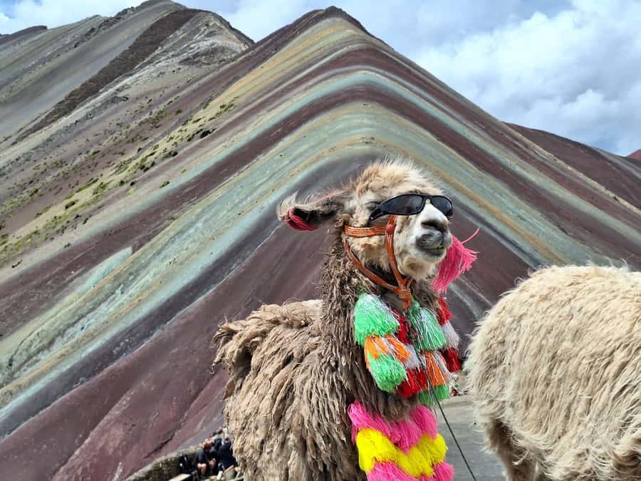 From cusco: Rainbow Mountain ATV Tour with meals - Price and value: what $65 covers, and what’s extra