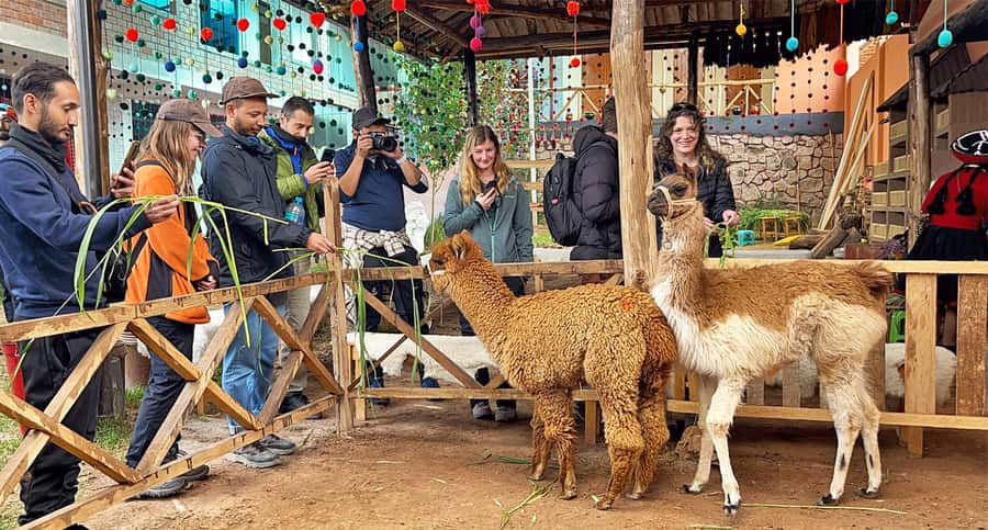 From Cusco: Sacred Valley & Maras Salt Mines Tour with Lunch - Why This One-Day Sacred Valley Route Works