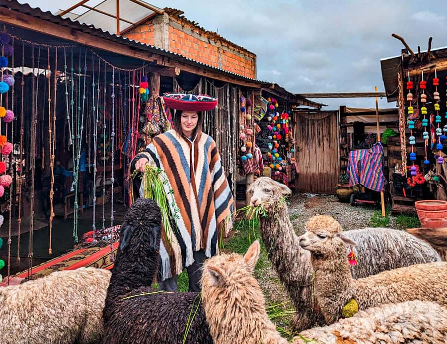 From Cusco: Sacred Valley & Moray, Salt Mines with Lunch - Hotel pickup and the small-group pace (up to 15 people)