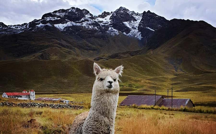 From Cusco: Titicaca lake with the route of the sun in 2 day - Value check: does $158 make sense for this route?